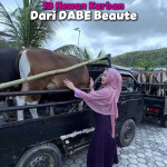 Tiga Tahun Berturut-turut, Daniel Rigan dan Bella Shofie Berbagi Hewan Kurban untuk Warga Buru