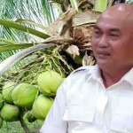 10 Juta Pohon Kelapa, Langkah Besar Pemkab Aru Bangun Masa Depan Ekonomi Masyarakat